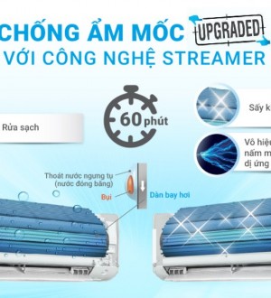 Quạt công nghiệp lý tâm kiểu CVT 20