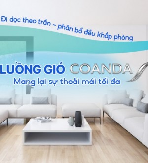Quạt công nghiệp lý tâm kiểu CVT 20