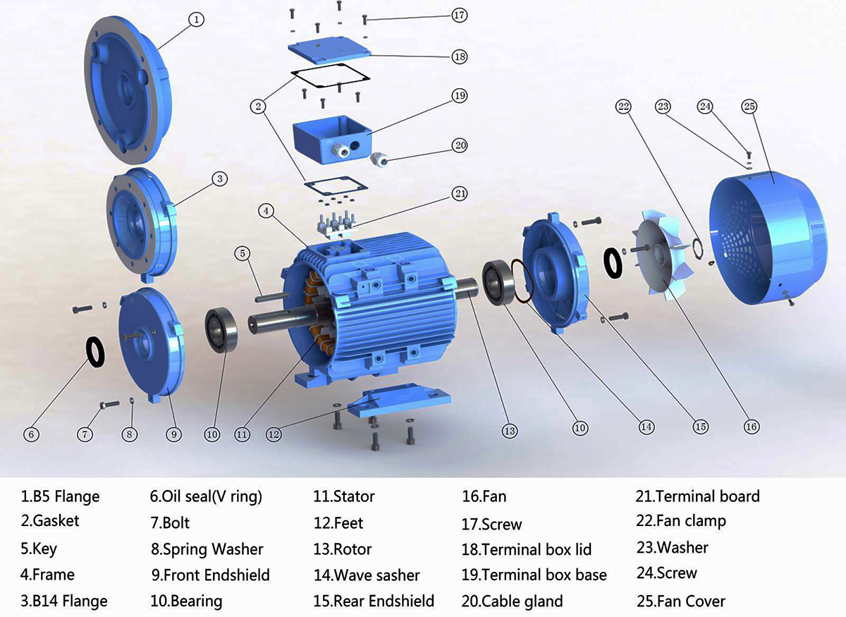 Hướng dẫn sử dụng và lắp đặt động cơ điện không đồng bộ 3 pha roto lồng sóc
